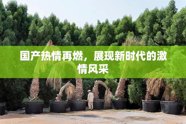 国产热情再燃，展现新时代的激情风采