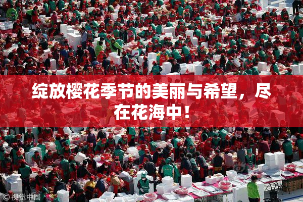 绽放樱花季节的美丽与希望，尽在花海中！