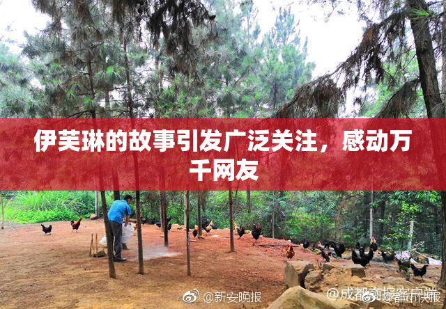 伊芙琳的故事引发广泛关注，感动万千网友