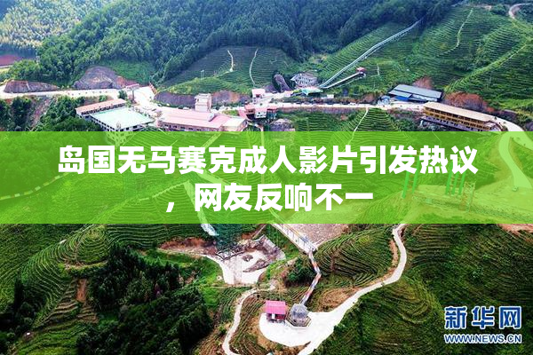 岛国无马赛克成人影片引发热议，网友反响不一