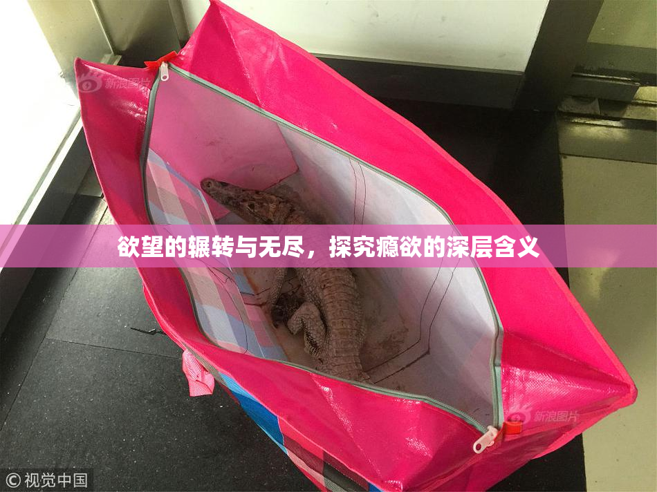 欲望的辗转与无尽，探究瘾欲的深层含义