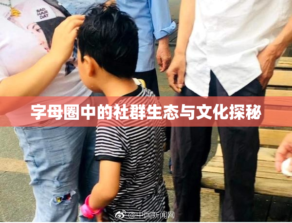 字母圈中的社群生态与文化探秘