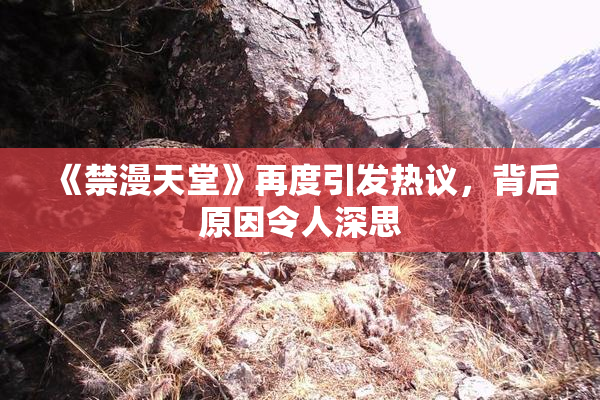 《禁漫天堂》再度引发热议，背后原因令人深思