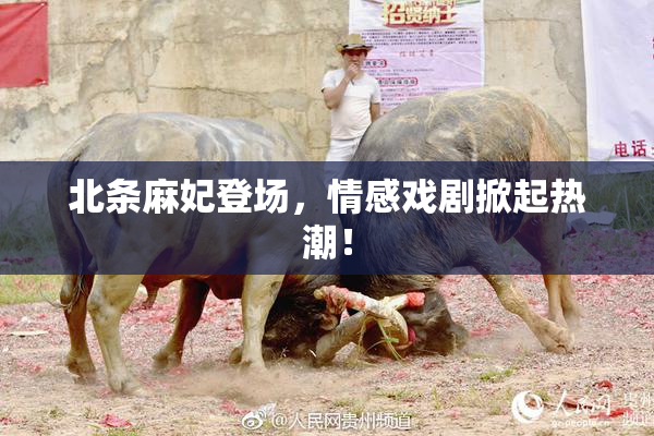北条麻妃登场，情感戏剧掀起热潮！