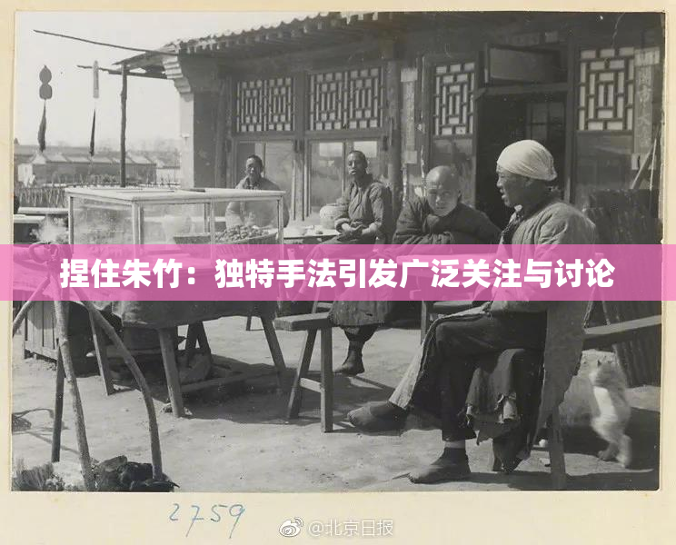 捏住朱竹：独特手法引发广泛关注与讨论