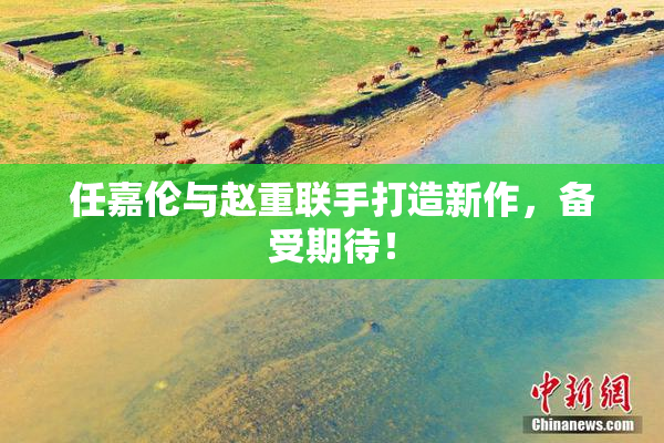 任嘉伦与赵重联手打造新作，备受期待！