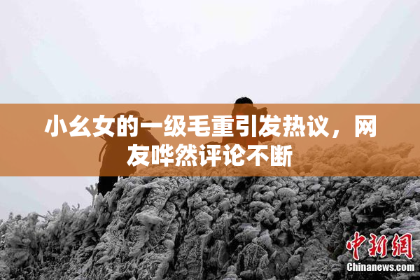 小幺女的一级毛重引发热议，网友哗然评论不断
