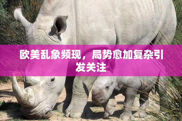 欧美乱象频现，局势愈加复杂引发关注