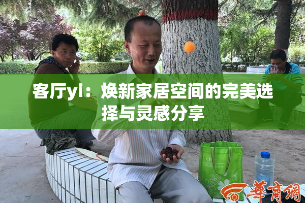 客厅yi：焕新家居空间的完美选择与灵感分享