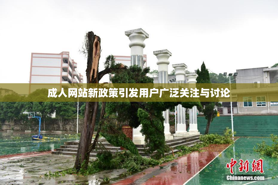 成人网站新政策引发用户广泛关注与讨论