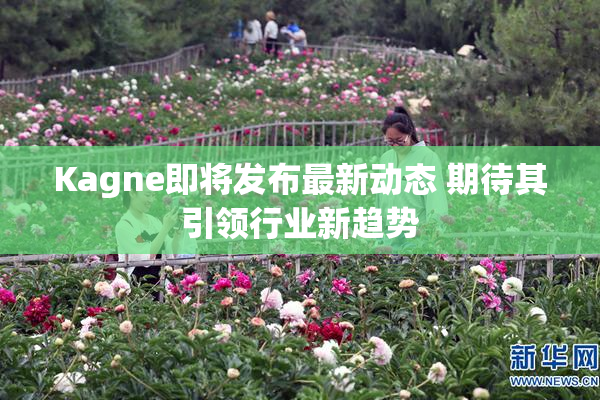 Kagne即将发布最新动态 期待其引领行业新趋势