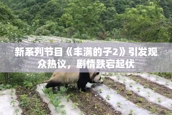 新系列节目《丰满的子2》引发观众热议，剧情跌宕起伏