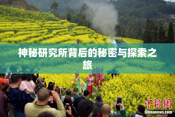 神秘研究所背后的秘密与探索之旅