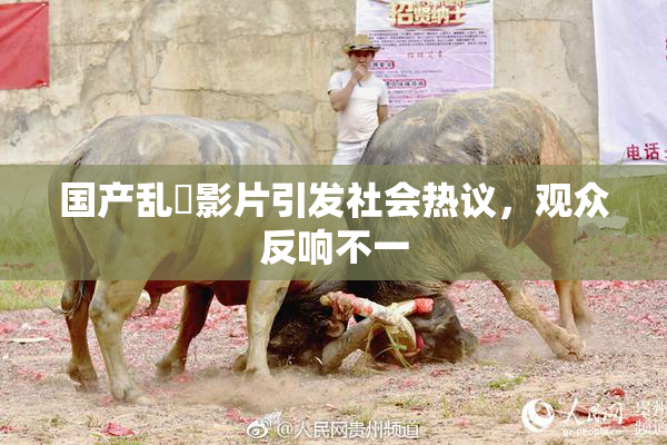 国产乱婬影片引发社会热议，观众反响不一