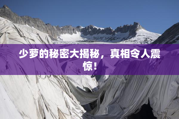 少萝的秘密大揭秘，真相令人震惊！