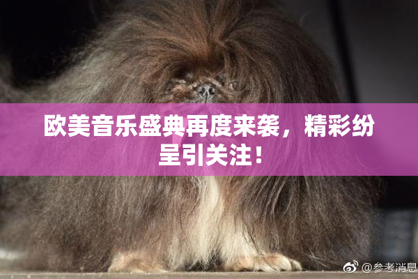 欧美音乐盛典再度来袭，精彩纷呈引关注！