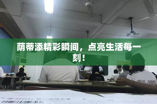 荫蒂添精彩瞬间，点亮生活每一刻！