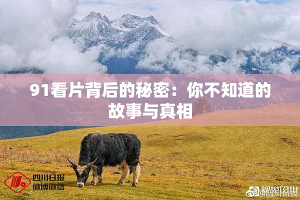 91看片背后的秘密：你不知道的故事与真相