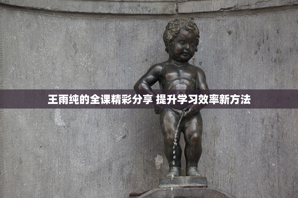 王雨纯的全课精彩分享 提升学习效率新方法