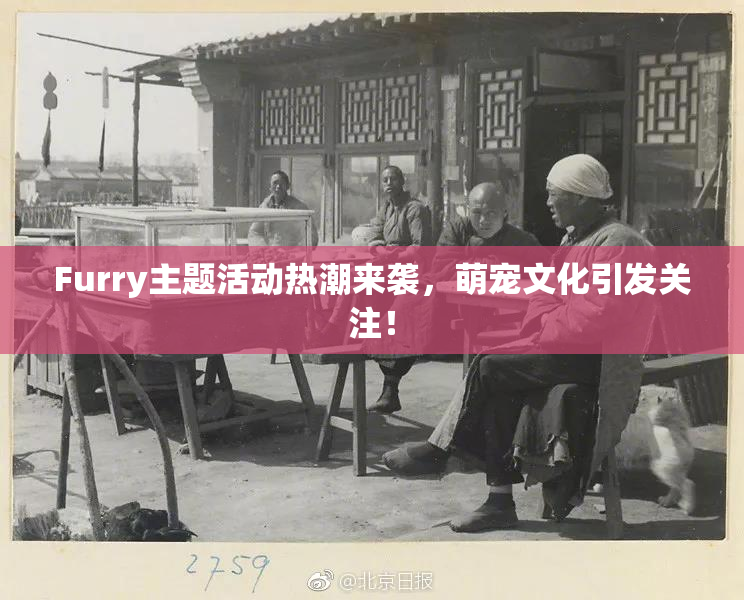 Furry主题活动热潮来袭，萌宠文化引发关注！