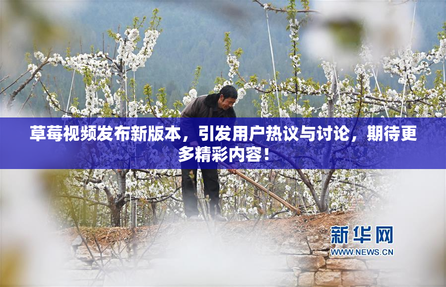 草莓视频发布新版本，引发用户热议与讨论，期待更多精彩内容！