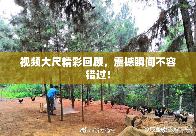视频大尺精彩回顾，震撼瞬间不容错过！