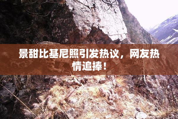 景甜比基尼照引发热议，网友热情追捧！