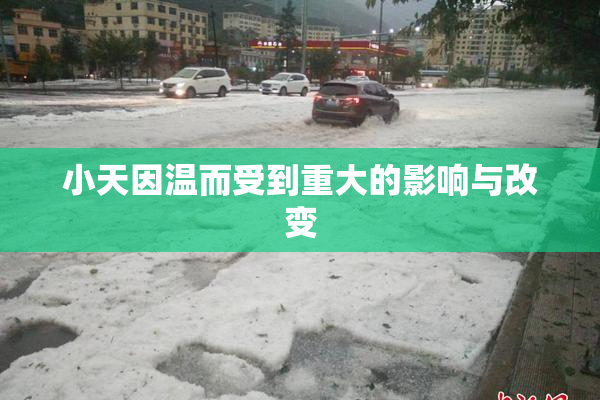 小天因温而受到重大的影响与改变