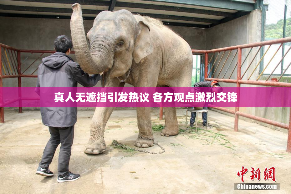 真人无遮挡引发热议 各方观点激烈交锋