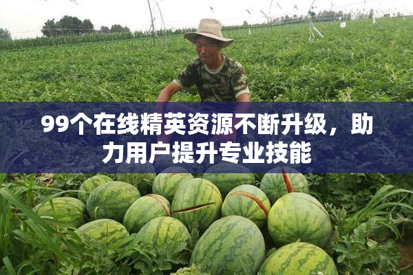 99个在线精英资源不断升级，助力用户提升专业技能