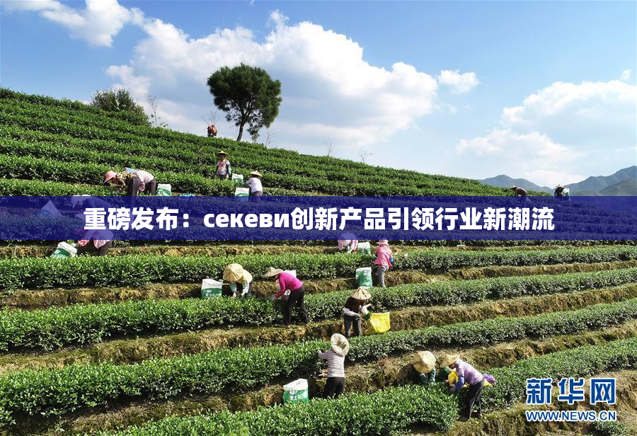 重磅发布：ceкеви创新产品引领行业新潮流