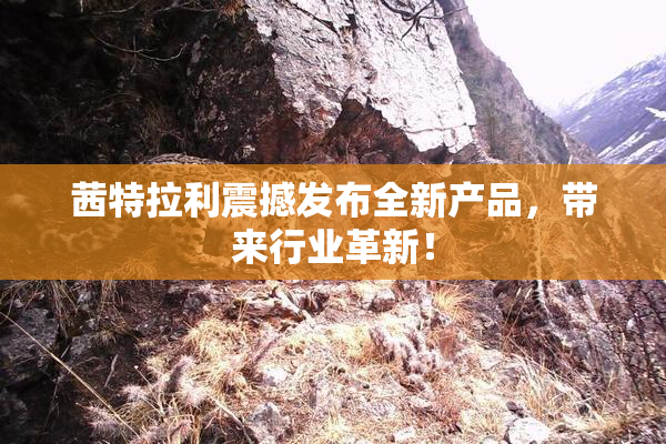 茜特拉利震撼发布全新产品，带来行业革新！