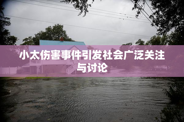 小太伤害事件引发社会广泛关注与讨论