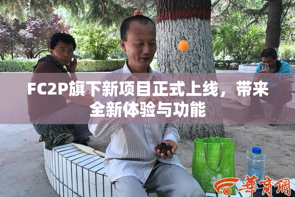 FC2P旗下新项目正式上线，带来全新体验与功能