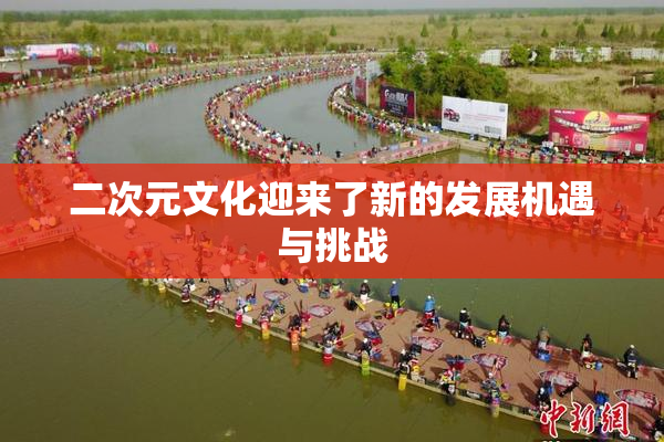 二次元文化迎来了新的发展机遇与挑战