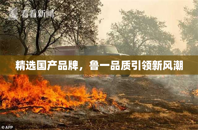 精选国产品牌，鲁一品质引领新风潮