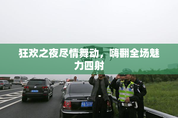 狂欢之夜尽情舞动，嗨翻全场魅力四射
