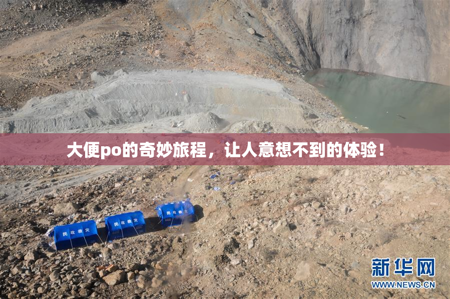 大便po的奇妙旅程，让人意想不到的体验！