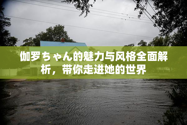 伽罗ちゃん的魅力与风格全面解析，带你走进她的世界