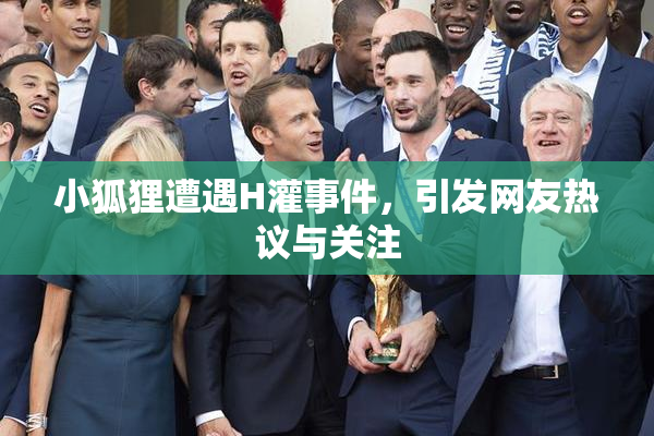 小狐狸遭遇H灌事件，引发网友热议与关注