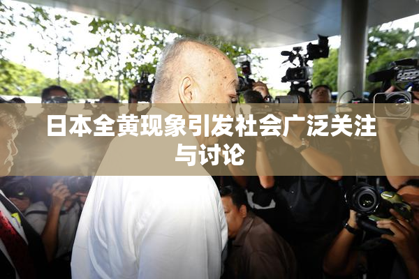 日本全黄现象引发社会广泛关注与讨论
