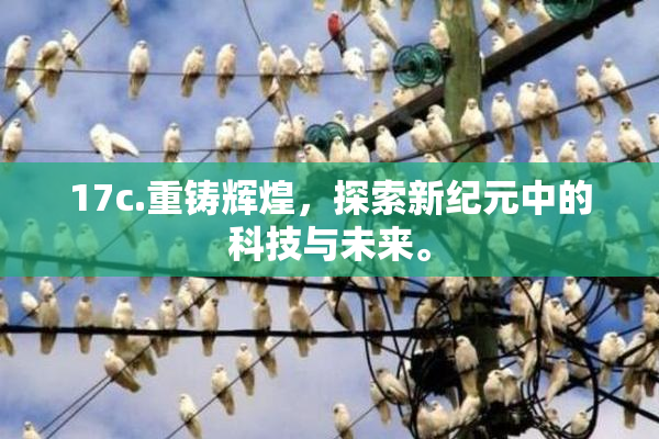 17c.重铸辉煌，探索新纪元中的科技与未来。