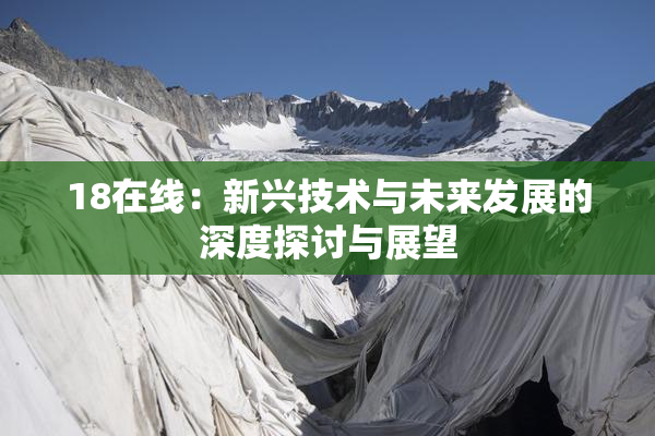 18在线：新兴技术与未来发展的深度探讨与展望