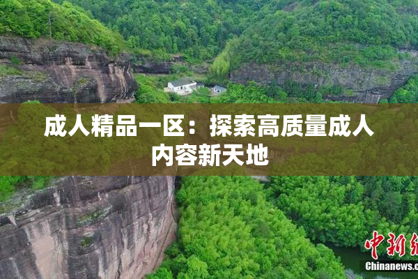 成人精品一区：探索高质量成人内容新天地