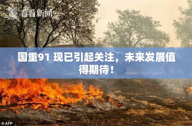 国重91 现已引起关注，未来发展值得期待！