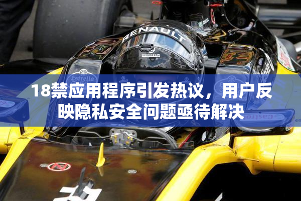 18禁应用程序引发热议，用户反映隐私安全问题亟待解决