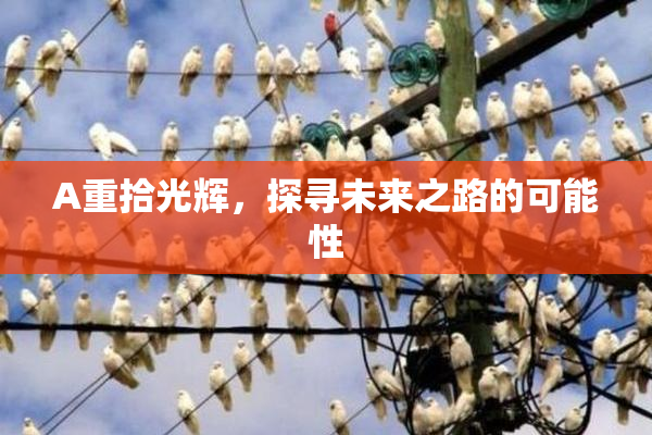 A重拾光辉，探寻未来之路的可能性