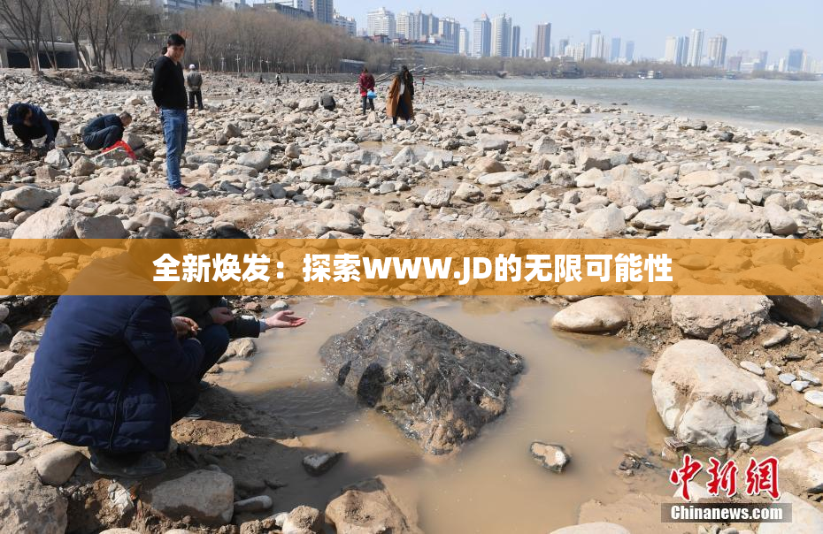 全新焕发：探索WWW.JD的无限可能性