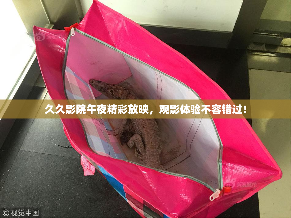 久久影院午夜精彩放映，观影体验不容错过！