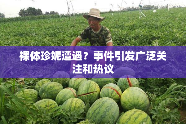 裸体珍妮遭遇？事件引发广泛关注和热议